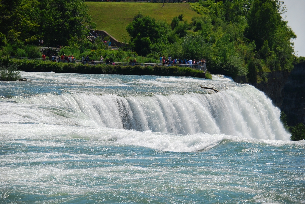 DSC_2488.JPG